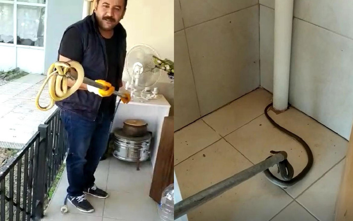 Balkondaki 2 metrelik yılan korkuttu!