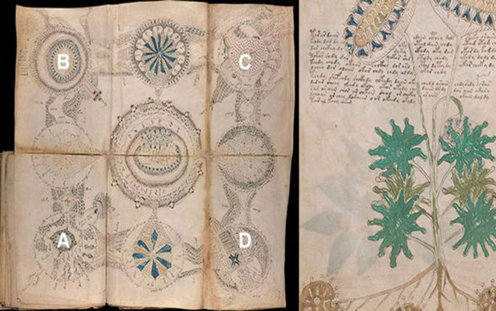 Dünyanın en gizemli kitabı Voynich El Yazması deşifre oldu seks tavsiyesi olay oldu