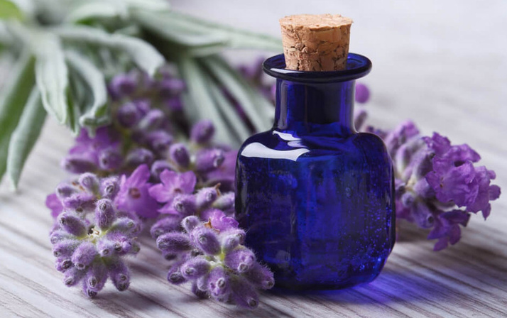 Lavanta yağı baş ağrısı uykusuzluk depresyon ve yaraya iyi geliyor