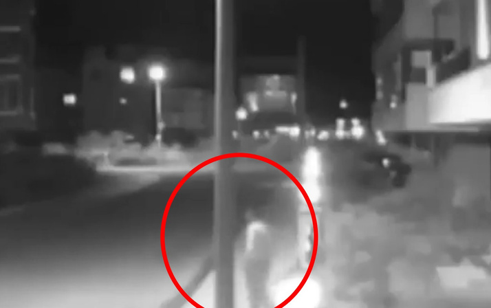 Ordu'da elektrik direğiyle cinsel ilişkiye girmeye çalışan adam infial yarattı