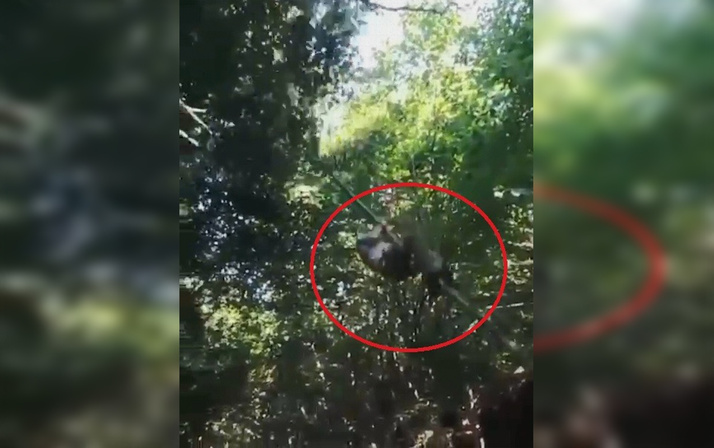 Kocaeli'de arkadaşların macera tutkusu hastanede sonlandı