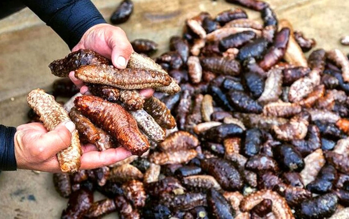 İzmir'de yasak olmasına rağmen avlıyorlar! Gecede 20 bin lira kazanç