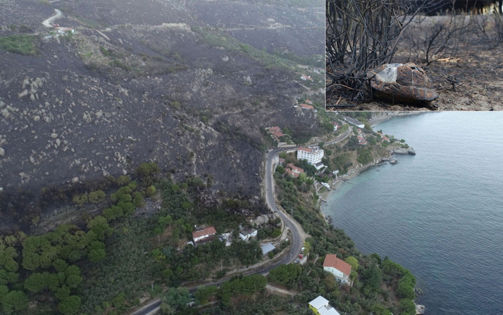 Marmara Adasındaki yangın 10 saatte kontrol altına alınabildi! 80 hektar..