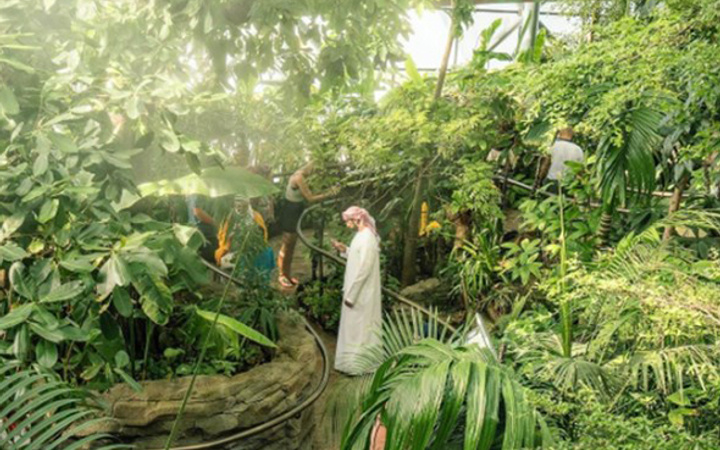Dubai Dünyanın en yeşil kenti olacak