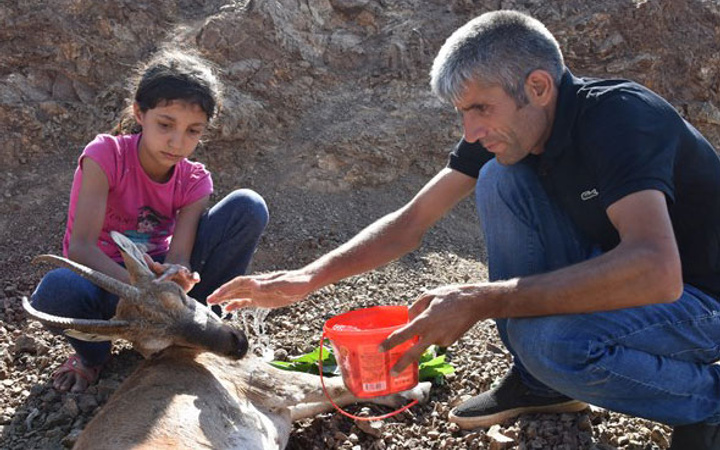 Çobandan 'helal olsun' dedirten hareket!