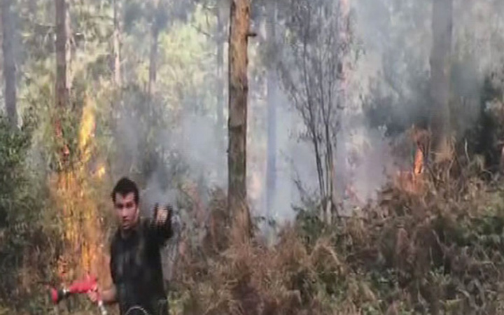 Aydos Ormanları'nda korkutan yangın!