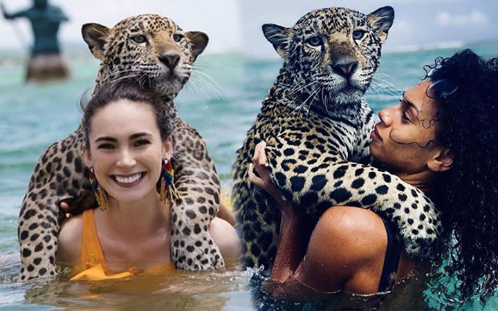 Cesaretin böylesi tehlikeli jaguarlarla yüzüp fotoğraflar çekiliyorlar