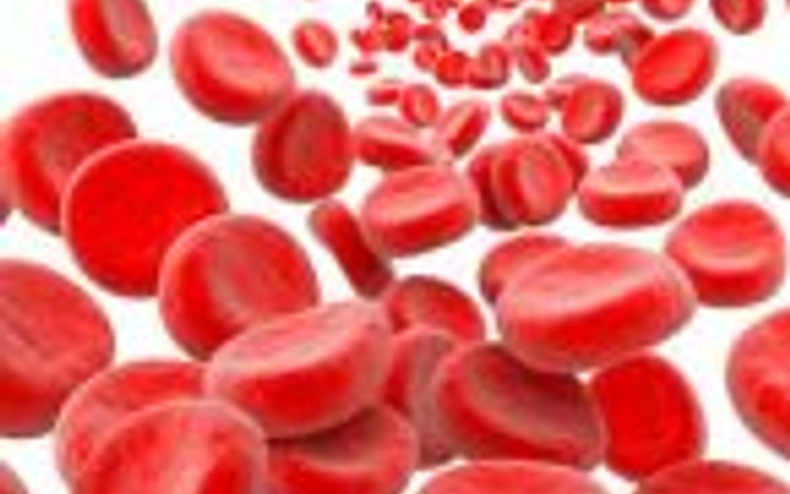 Vedda kan şekeri ilacı pdf ücretsiz indir