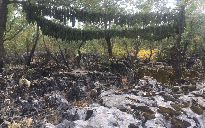 Diyarbakır'da terör örgütü PKK'ya büyük "uyuşturucu" darbesi! 4 ton esrar ele geçirildi