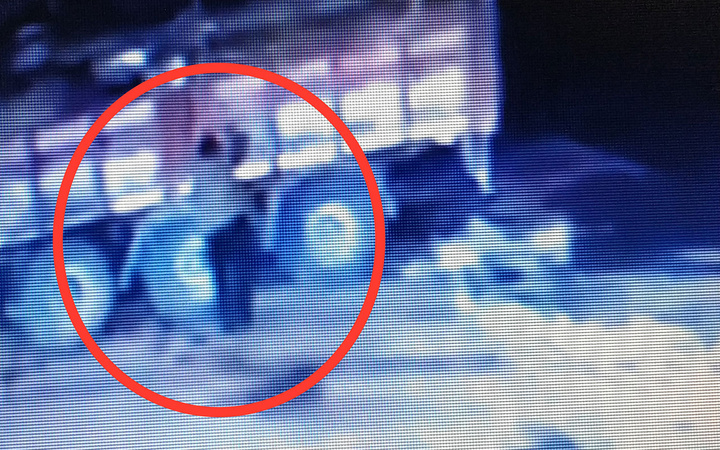 Ordu'da üzerine kamyondan tomruk düşen şoför hayatını kaybetti