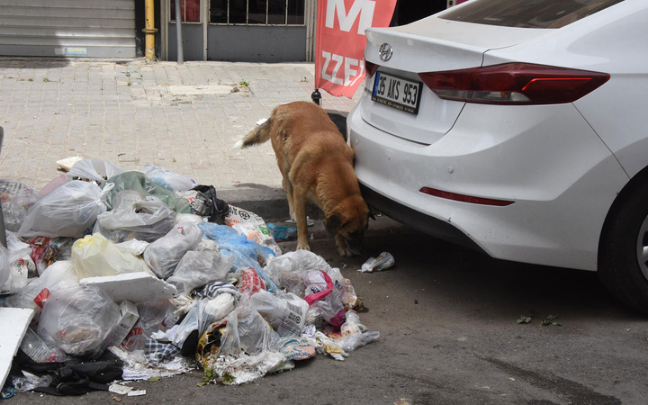 İzmir çöplüğe döndü! 'Her yer leş gibi çöp kokuyor, belediye 2 gündür çöpleri toplamıyor'
