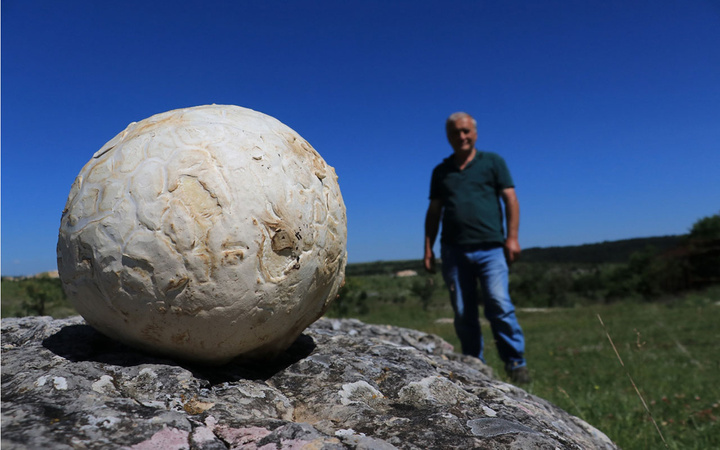 Kastamonu'da doğada buldu futbol topu sandı yakından inceleyince ne olduğu ortaya çıktı