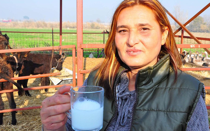 İzmir'de eşek sütü çiftliği kurdu! Eşek sütünün litresi 120 lira kansere deva