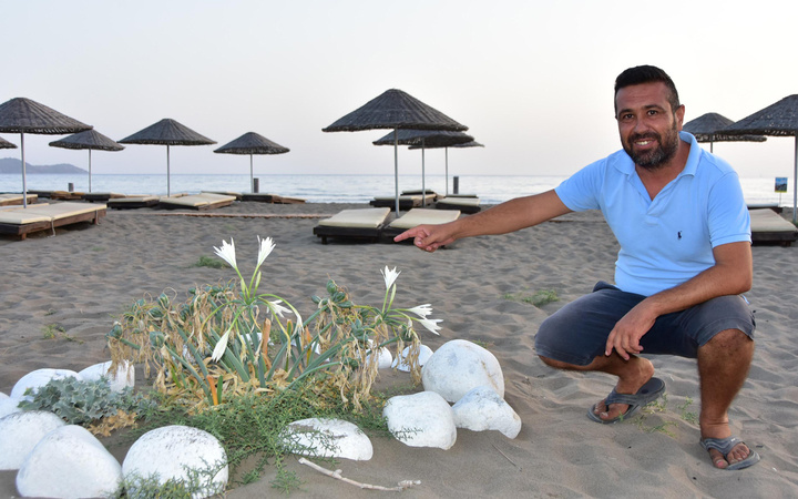 Bu çiçeği sakın koparmayın! Muğla'da açıyor cezası 73 bin 747 lira