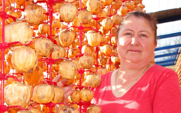 İzmirli kadın 5 kiloyla başladı 60 ton üretiyor paraya para demiyor