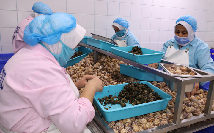 Bilecik'te yapılıyor dünyaya ihraç ediliyor! Porsiyonu 750 TL