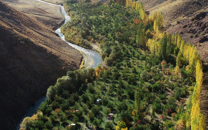Van'da herkes 'yapamazsın' dedi! Azmetti başardı bu hale getirdi