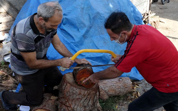 Sürmene'de kestiği ağacın gövdesindeki figür şaşırttı İlk gördüğümde bir korku hissettim