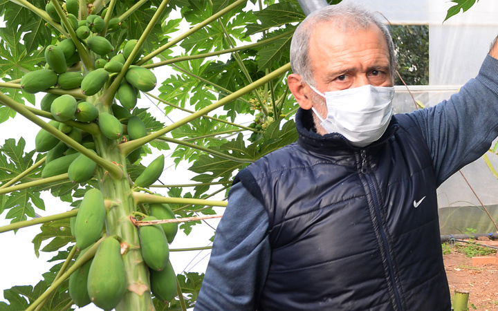 İspanya'dan Mersin'e getirip üretime başladı! Şimdi paraya para demiyor