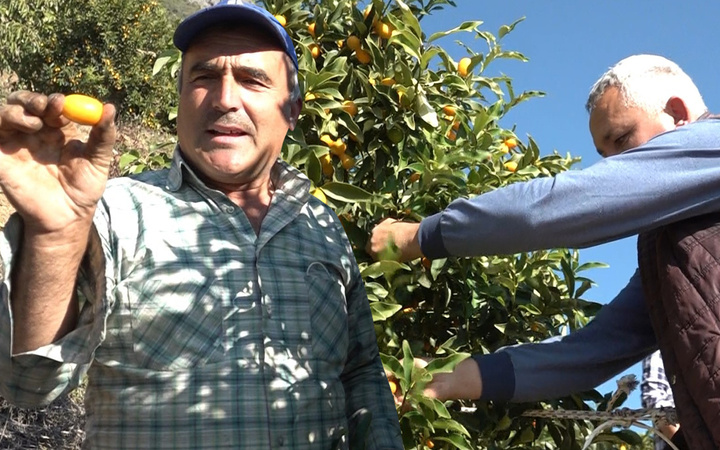 Antalya'da salgınla birlikte talep patladı bağışıklığı güçlendiriyor! Fiyatı duyanları şaşırttı
