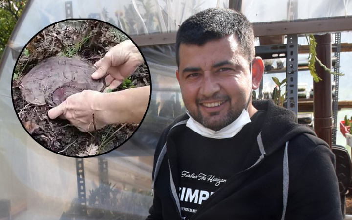 'Hazine bulduğumu söylediler' dedi! Muğla'da tarlada şans eseri buldu