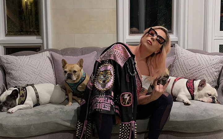 Lady Gaga'nın silahlı saldırı sonrası köpekleri çalındı