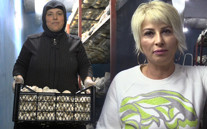Samsun'da ek gelir için tavsiyeyle başladı! Çevre illerden sipariş yağıyor