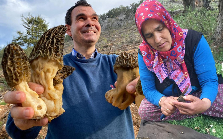 Antalya'da bedavaya toplayıp 1500 TL'ye satıyorlar! Paraya para demiyorlar