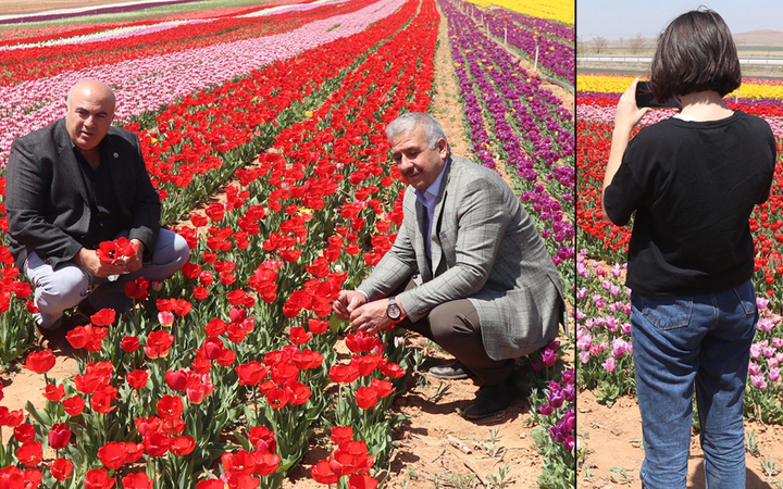 Hollanda'dan Karaman'a dönüş yaptı! Bu işe başladı 11 ülke sipariş için sırada