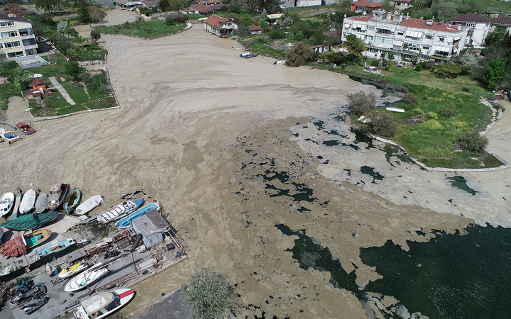 Marmara'da 'salya' kabusu! İstanbul sahillerini sardı kokudan durulmuyor! Avşa Adası ve Erdek Körfezi de...