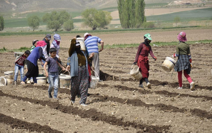 Tarımın bel kemiği mevsimlik işçiler Ramazan ayında Eskişehir'de işlerinin başında