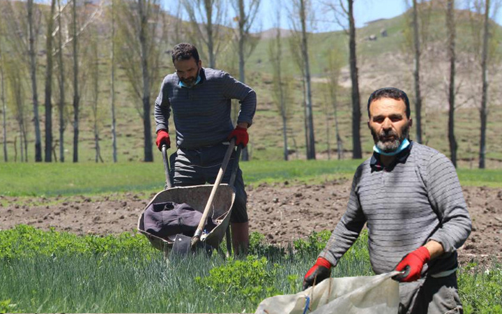 Erzurum'da dedesinden miras kaldı 'P' harfini andırıyor: TIR dolusu para verseler satmam