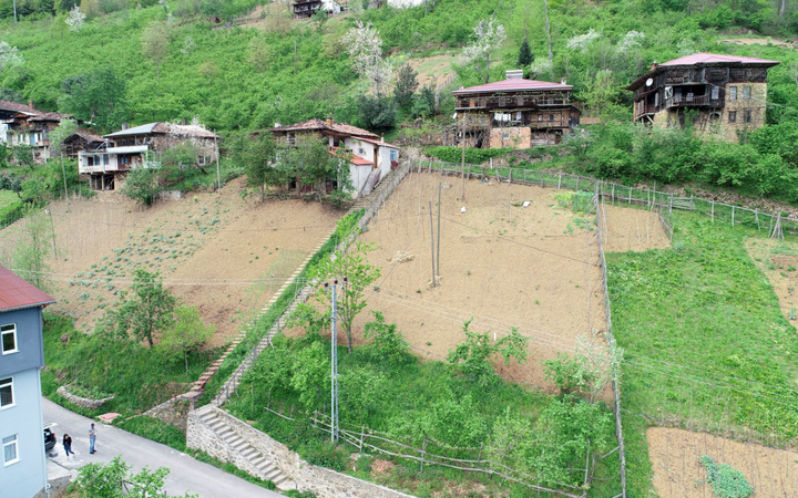 Trabzon'da görenler merak edip soruyor! Karadeniz inadı yüzünden çok masraf yaptılar
