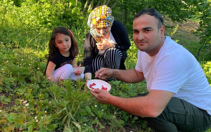 Ordu'da 200 TL'ye satılıyor! 4 saatte bir kilo toplanabiliyor
