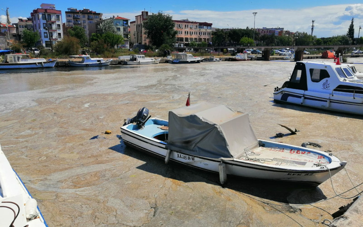 Çanakkale Boğazı'ndan sonra Sarıçay da müsilaj ile kaplandı