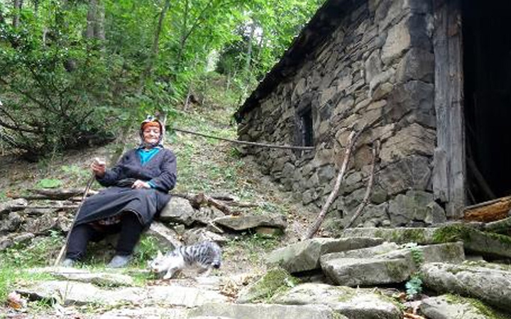 Trabzon'da 37 yıldır yaylada yaşıyor! Türk nine İtalya'dan ödül aldı hayatı çok ilginç