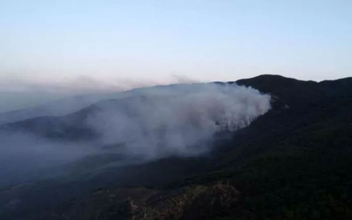 Kazdağları Milli Parkı'ndaki orman yangınında son durum! 2 gün sonunda iyi haber