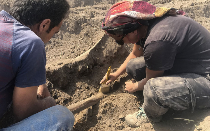 Kahramanmaraş'ta tarlasını sürerken pulluğa takıldı apar topar yetkilileri aradı