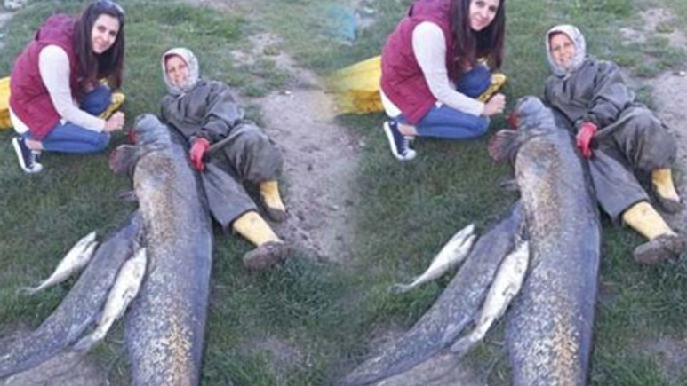 Edirne'de yakalandı: 2,5 metre 72 kilo!