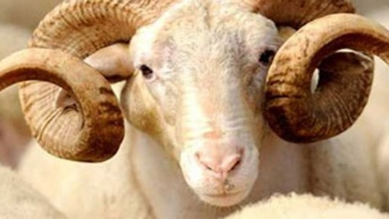 Kurban Bayramı tatili kaç gün oldu Kurtulmuş açıkladı