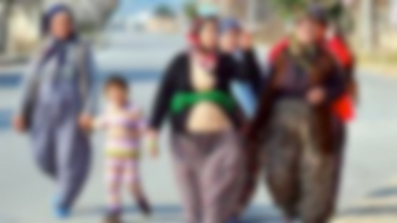 Köyün adı cinsel organ anlamına gelince...