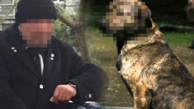 Parkta çalıların arkasında iğrenç şekilde yakalandı
