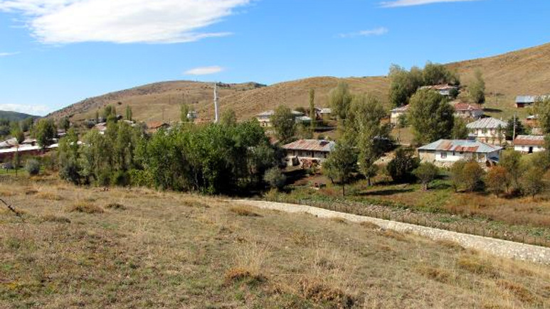 Tokat'ta dev yılan iddiası! Efsane mi gerçek mi?