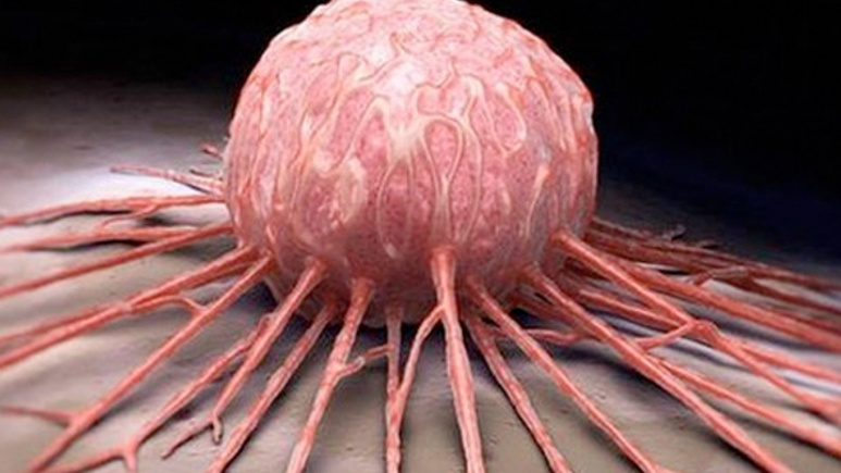Kanser tedavisinde DNA nanorobotları devrede
