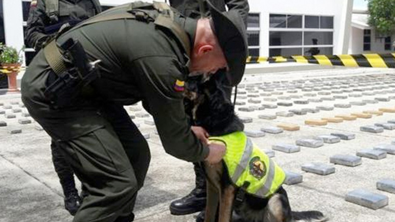 Suç örgütü polis köpeğini öldürene 70 bin dolar vadetti