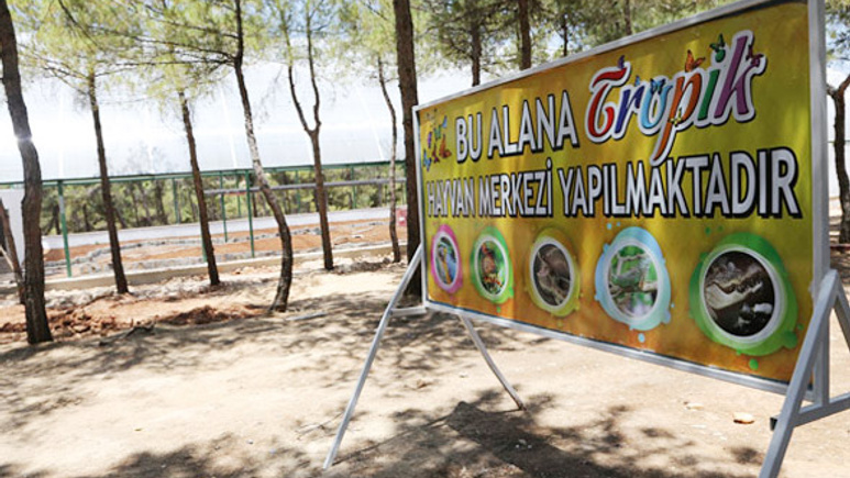 Gaziantep Büyükşehir Belediyesi 20 bin kelebek getirecek