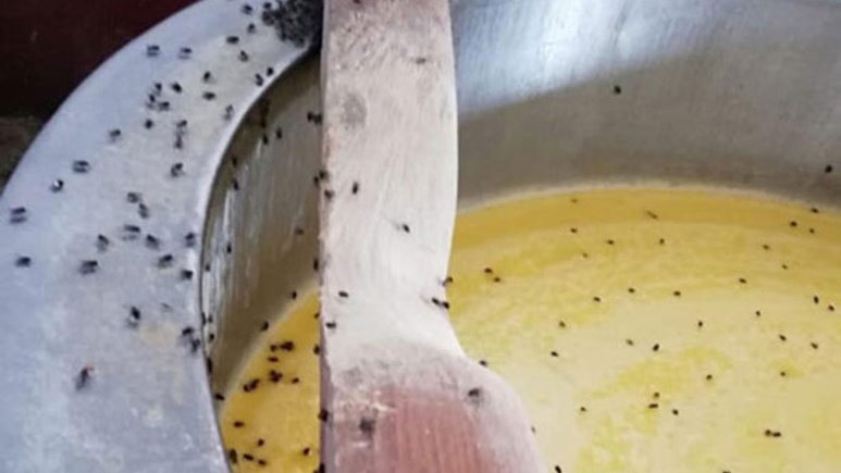 İğrenç manzara! Zabıta pis kokuya dayanamadı