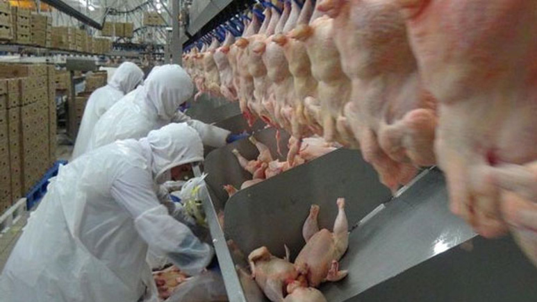Konkordato isteyen ünlü piliç ve yumurta markası için flaş gelişme!