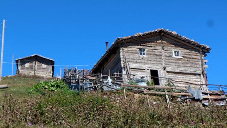 Trabzon'da yayla sakinleri karar aldı bundan sonra...