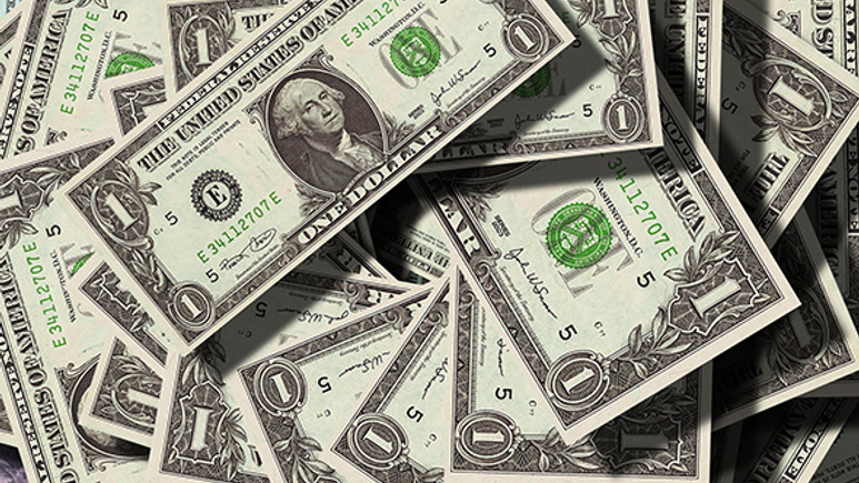 Vatan mı dolar mı? Süleyman Özışık yazdı